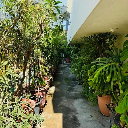 Aelios House Rhodes City